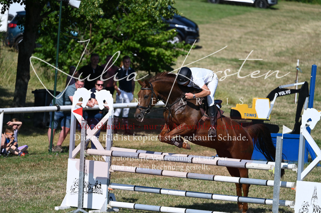 DSC_2273 | Pferde- und Turnierfotografie in Westsachsen. Pferdeportraits, Auftragszeichnungen und intuitive Kunst.