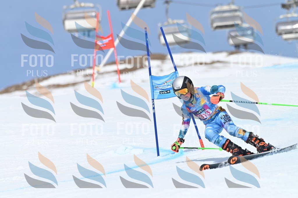 BGV_3008 | holidayphoto