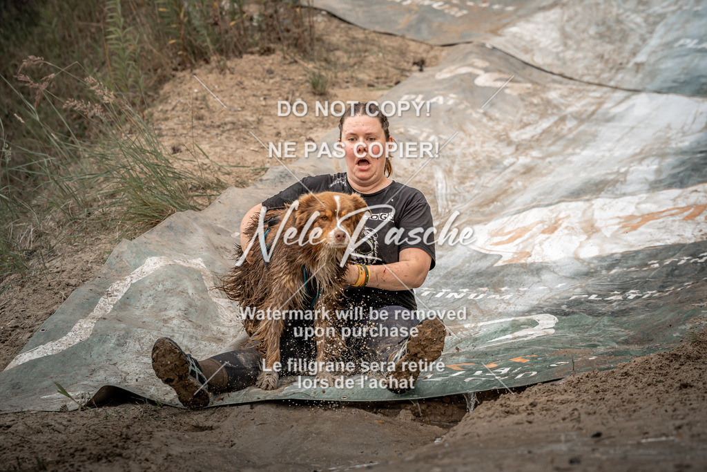 nelerasche_sa1300-1345_141 | nelerasche