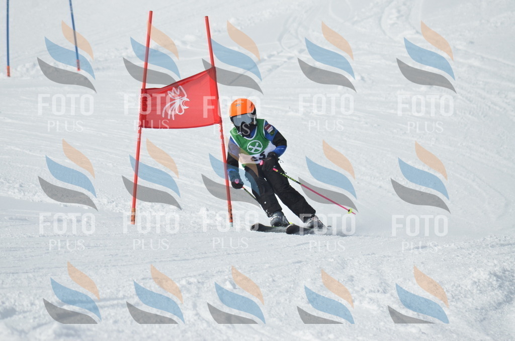 D8603 | holidayphoto