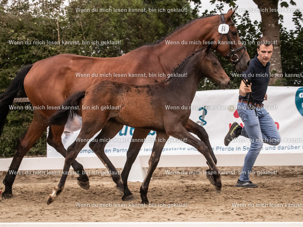 A10I6591 | photographylinaismer - Realisiert mit Pictrs.com