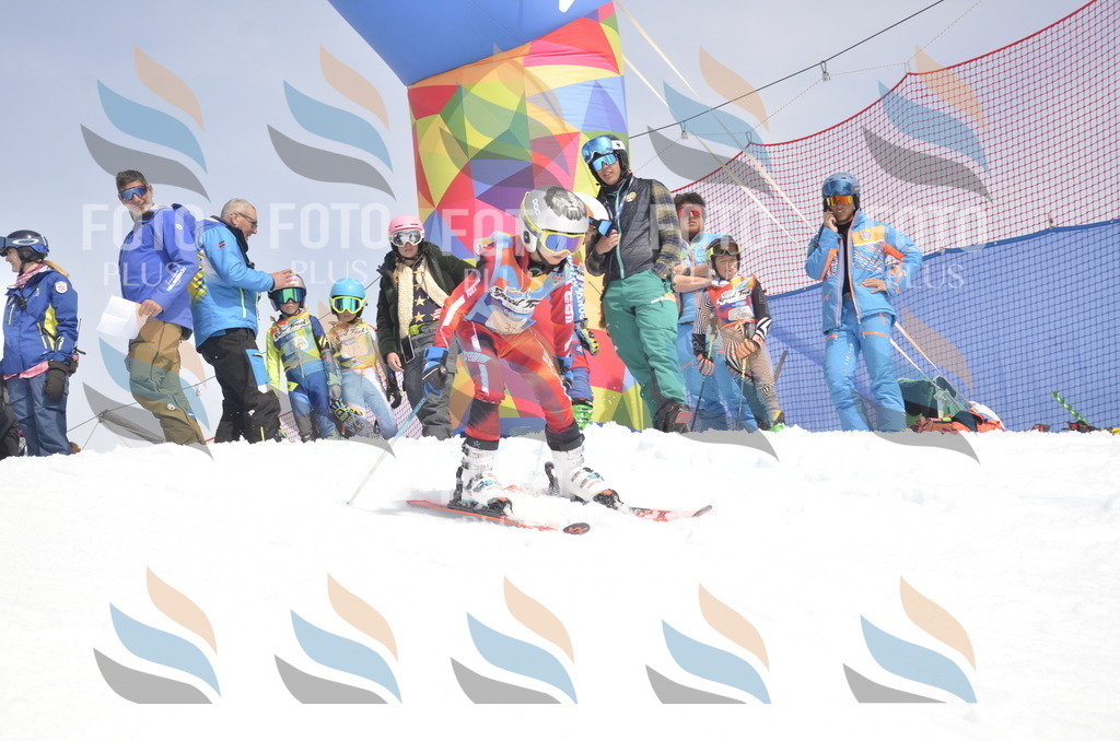 _ELE8683 | holidayphoto