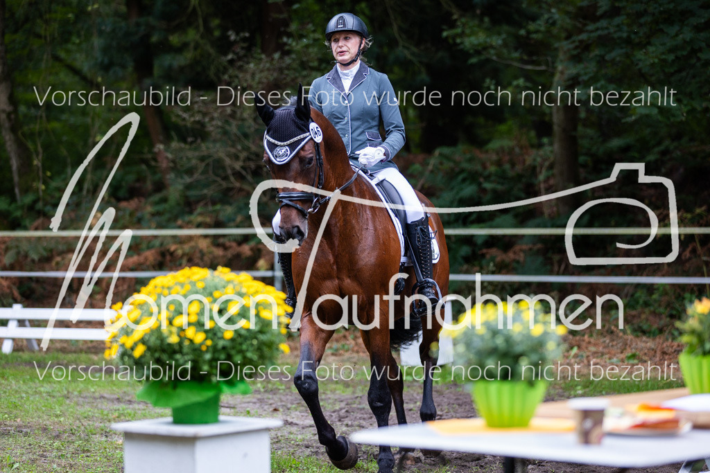 HB-A-Dressur-102 | MomenTaufnahmen Pferdesportfotos