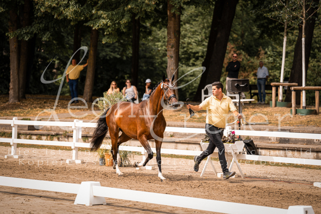 6.Fr00125 | Leoni Ertmer Photography - Realisiert mit Pictrs.com