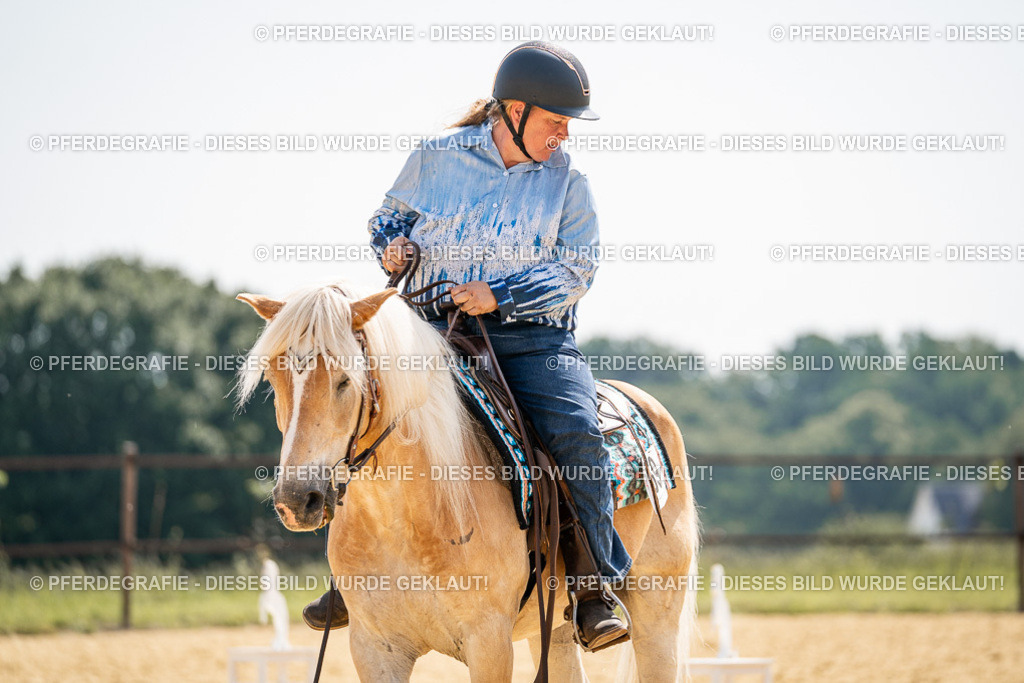 DSC09810 | Pferdegrafie