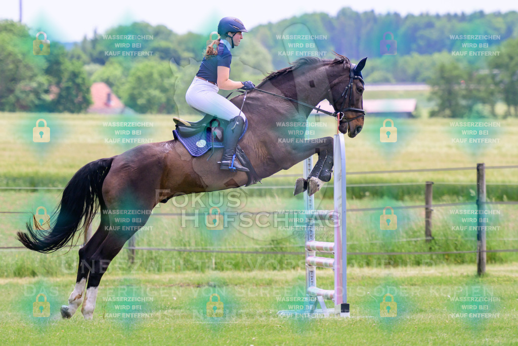 30052026-Forstinning-Prfg23-0152 | Fokus Hufschlag Fotografie - Realisiert mit Pictrs.com