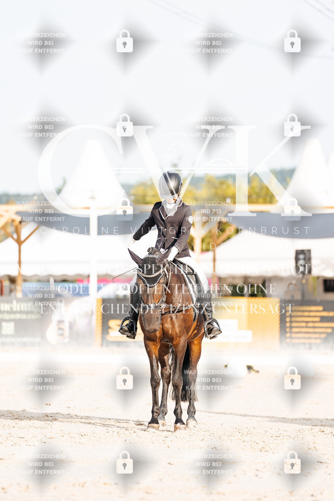CK903749 | Turnierfotografie Pferdefotografie Trier Rheinland-Pfalz Pferdesport Reitsport Tierfotografie Sportfotografie Pferdevideo Pferdevideografie Equestrianvideography equestrianphotography  - Realisiert mit Pictrs.com