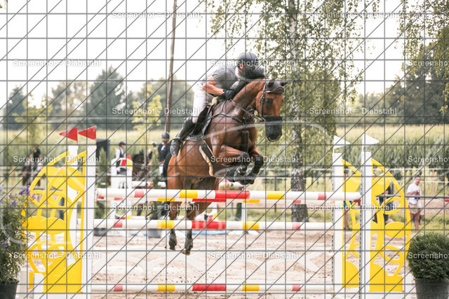 _W6A1582 | ronjaprokoschfotografie - Realisiert mit Pictrs.com