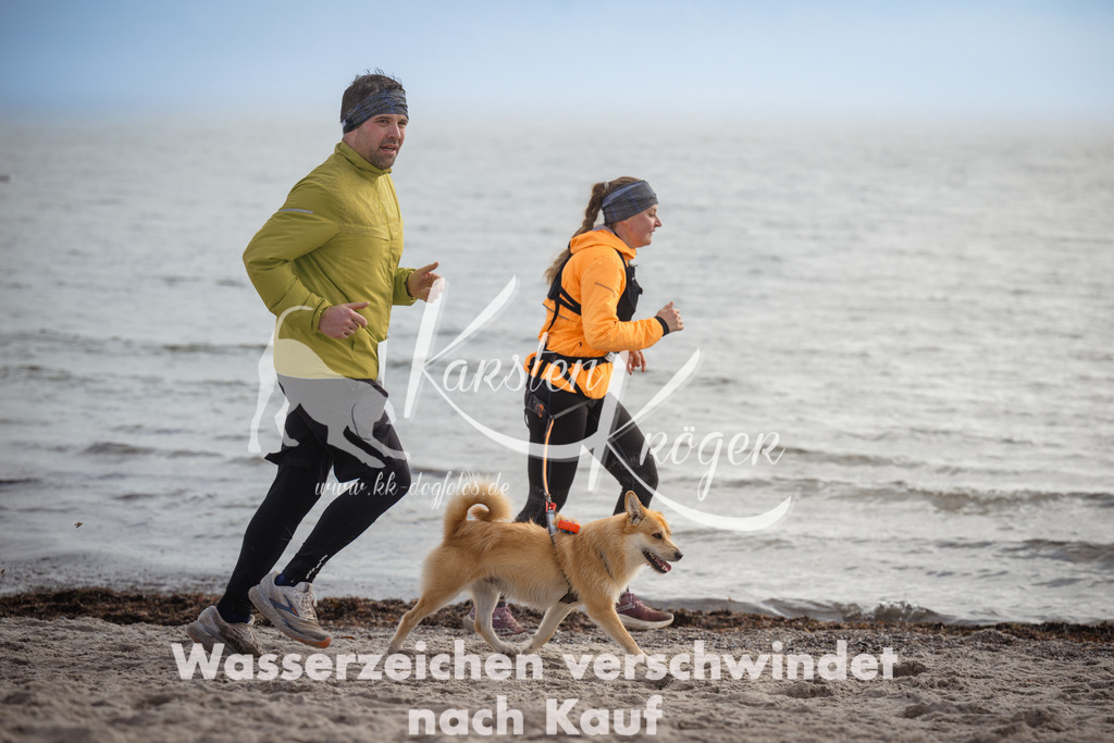 1200_ZZ93311 | kk-dogfotos