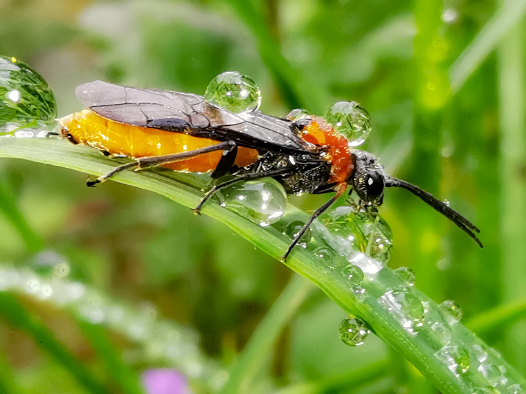 PSX_20230524_232231 | mtkfoto_ - Realisiert mit Pictrs.com