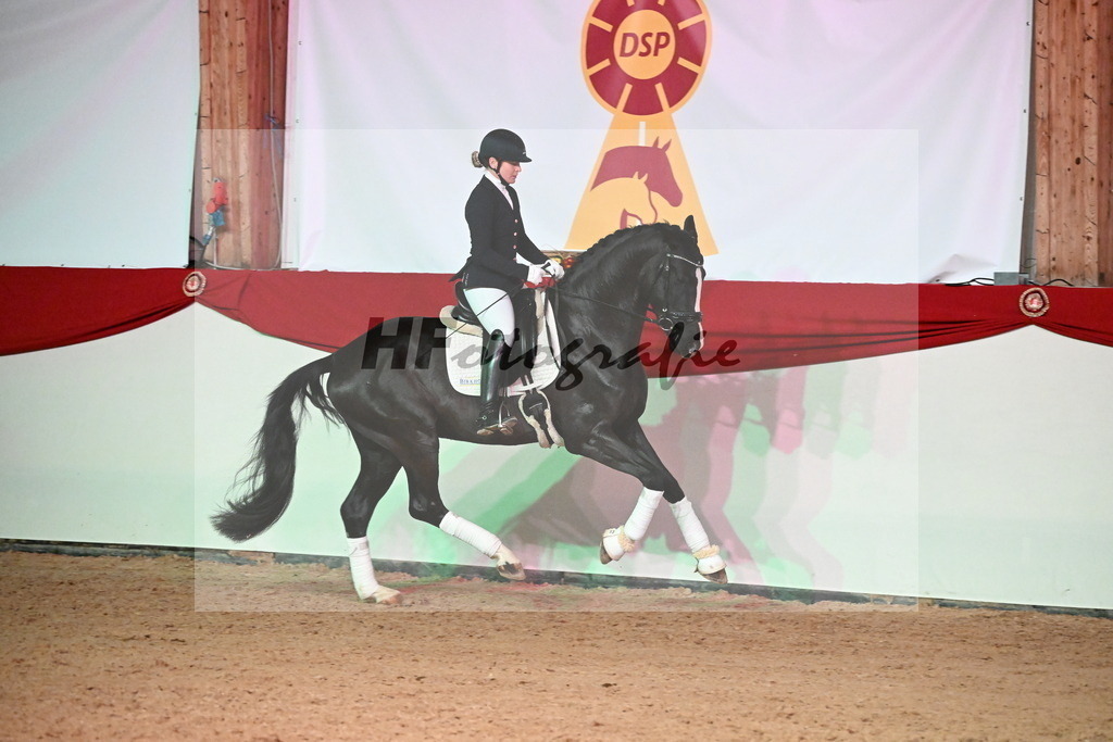 Jamie_Haug_2255159 | hf-fotografie - Realisiert mit Pictrs.com