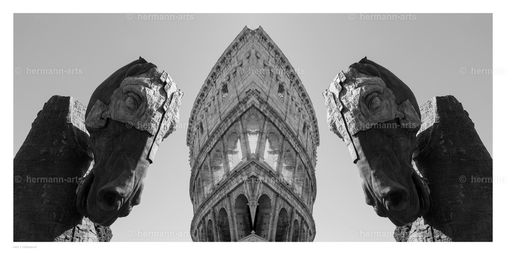 selbstbegegnung_10_03_24_einzeln38 | Photo Foto Kunst Art schwarzweiss Bilder Rheine Münster Berlin Blumen 