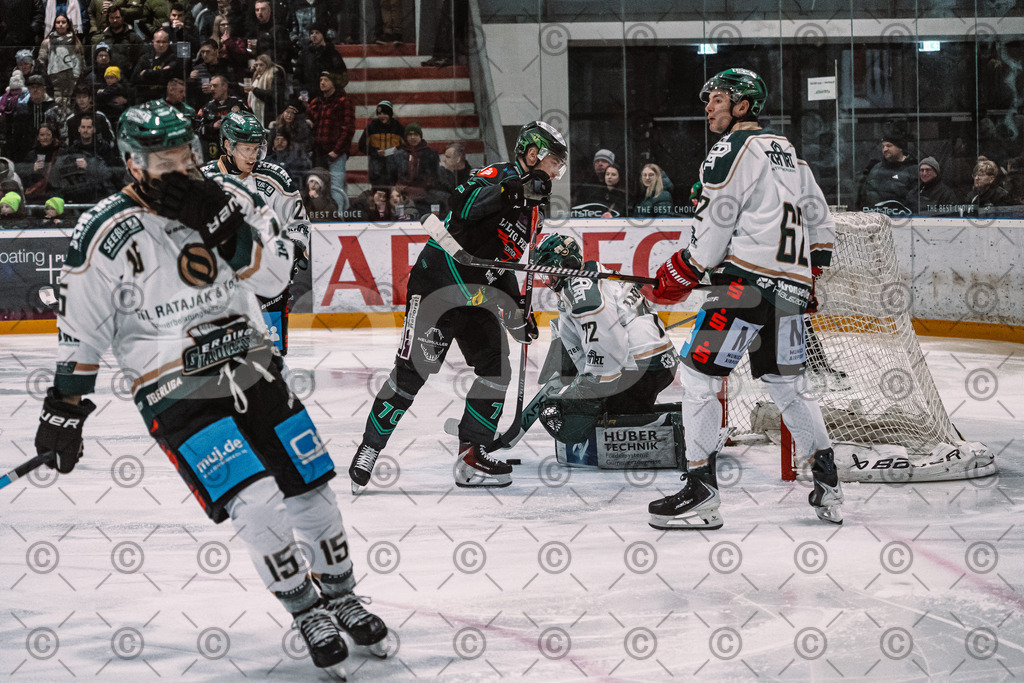 Alligators_vs_Erding_01_02_2026-05 | Höchstadt Alligators Fotogalerie: Eishockey-Action aus Franken. Professionelle Spielfotos, Portraits & Stadionbilder zum Download. Jetzt entdecken! - Realisiert mit Pictrs.com