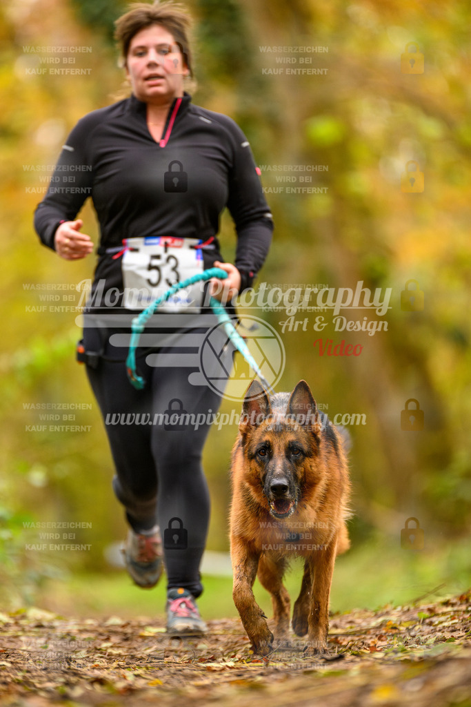 MompixPhotography_Bischwiller24_SA_Canicross-68 | PayLife