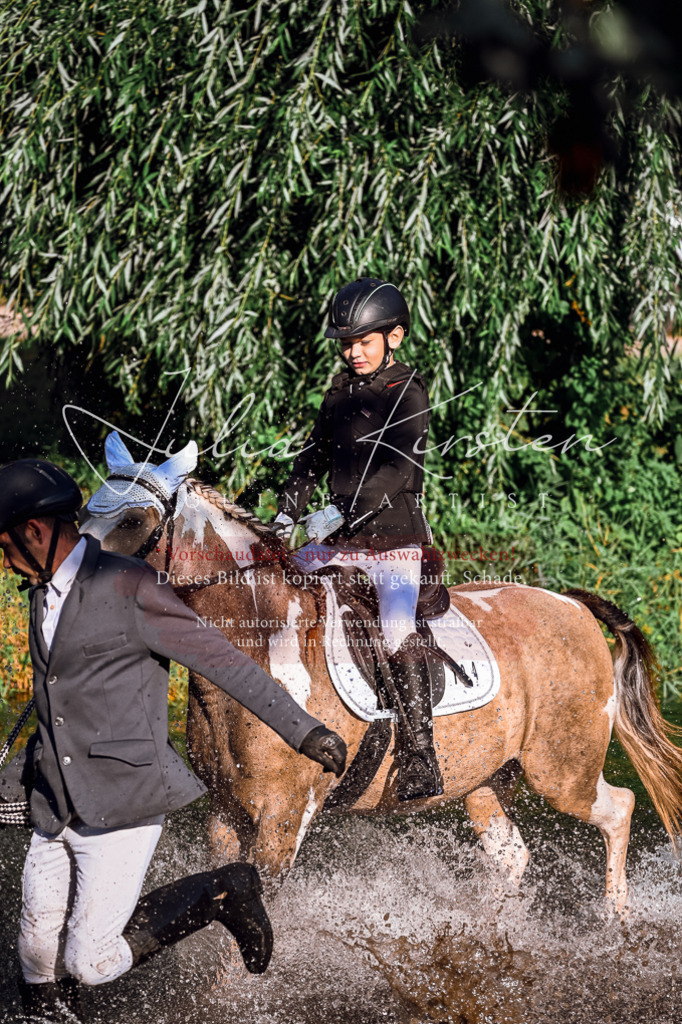 DSC_0340 | Pferde- und Turnierfotografie in Westsachsen. Pferdeportraits, Auftragszeichnungen und intuitive Kunst.