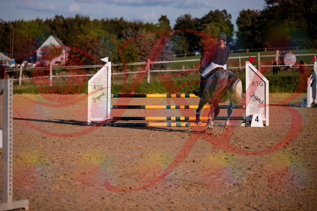 2026_10_03_Siefer-Hof_171404_Z81_11228261 | Professionelle Reitsport-, Turnier- und Eventfotografie von Robert Broda. Galerien mit ausgewählten und bearbeiteten Bildern direkt online ansehen und bestellen.