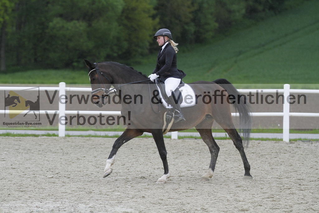 _MG_1029 | equestrian-live-com