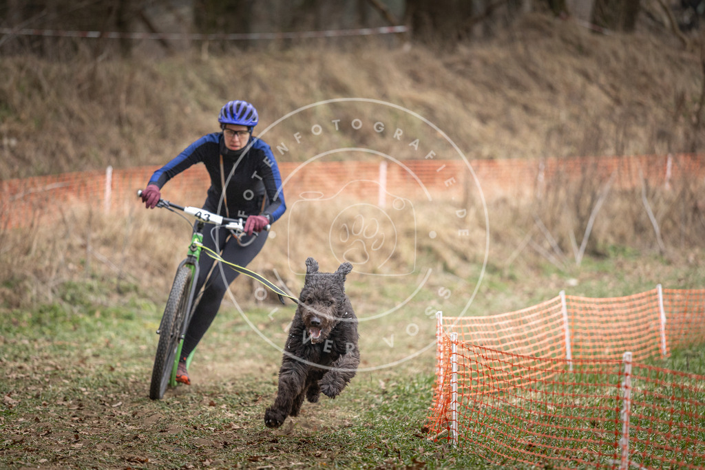 Pfotenfotografie_DV3A6583 | Hundefotografie, Tierfotograf, Pfotenfotografie, Fotoshooting Hund, Hunde Portrait, Hundesport, Hundeportraits, Heideshooting, Hunde, Sportfotograf, Hundefotograf, Turnierhundsport, THS,  - Realisiert mit Pictrs.com