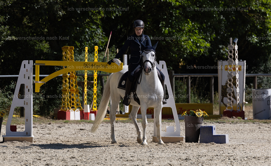 WA_Trail_4_KerstinBernhardt-7 | working equitationturnier fotograf videograf stoibphotography marixx film working equitation deutschland reitsport turnierfotografie eventfotografie equestrian events