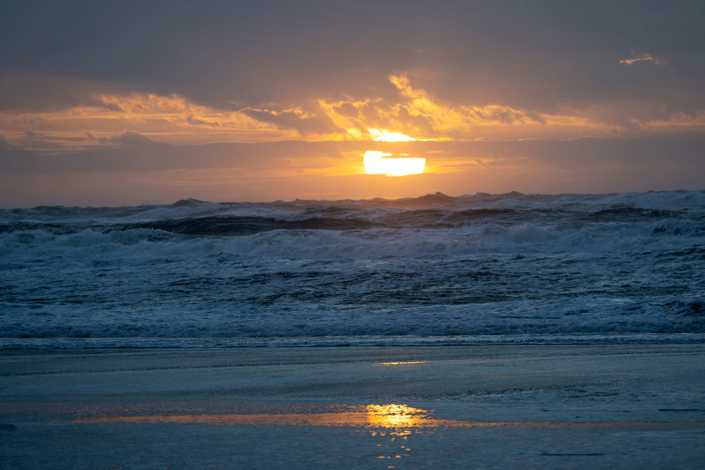 251028_Texel_3509_mr | Entdecke exklusive Fotografie im muebri Shop: Stimmungsvolle Motive  Naturaufnahmen und mehr. Jetzt hochwertige Wandbilder und Fotoabzüge online kaufen! - Realisiert mit Pictrs.com