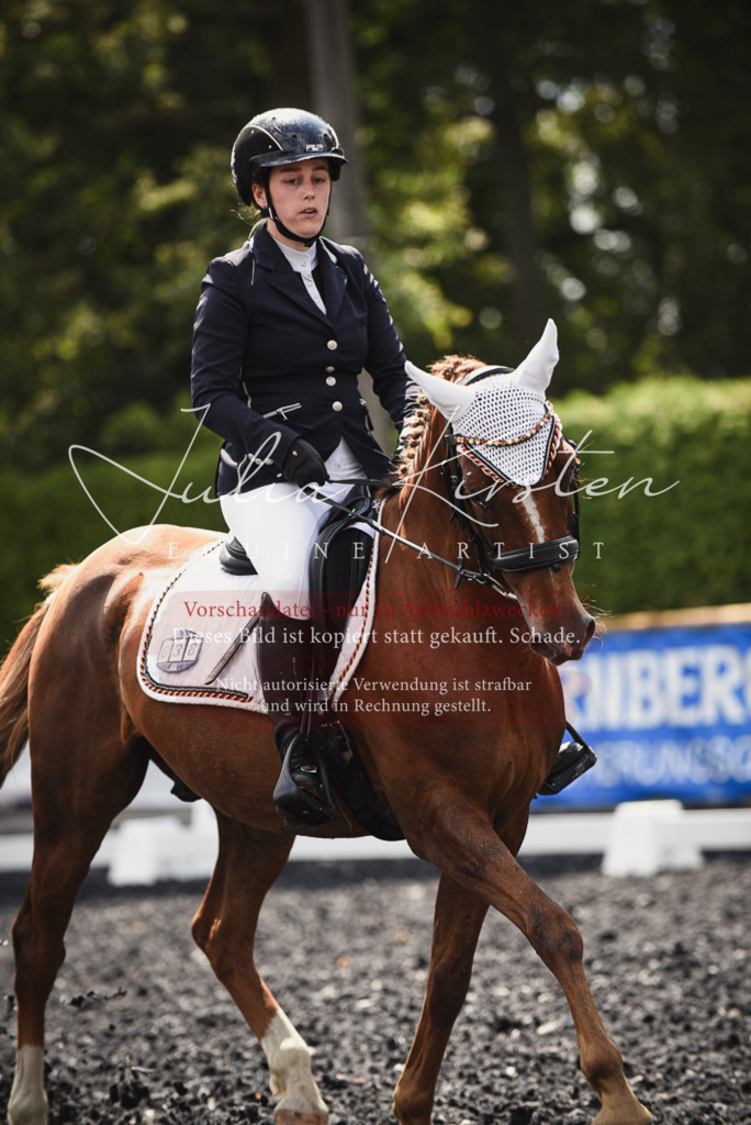 DSC_4216 | Pferde- und Turnierfotografie in Westsachsen. Pferdeportraits, Auftragszeichnungen und intuitive Kunst.