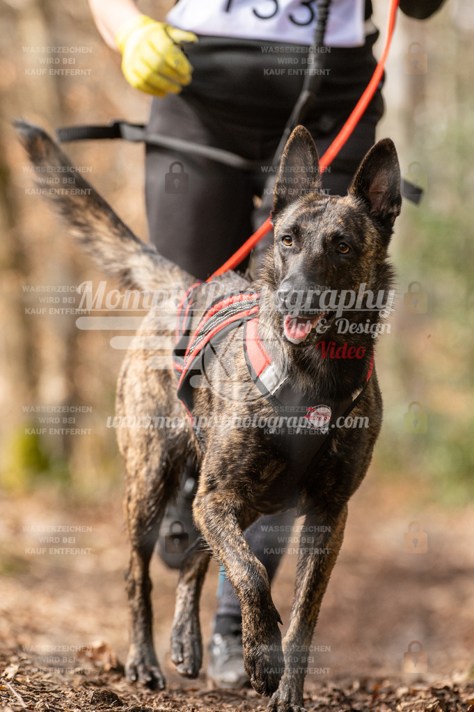 SPA_2023_DIM_Fun-45 | PayLife