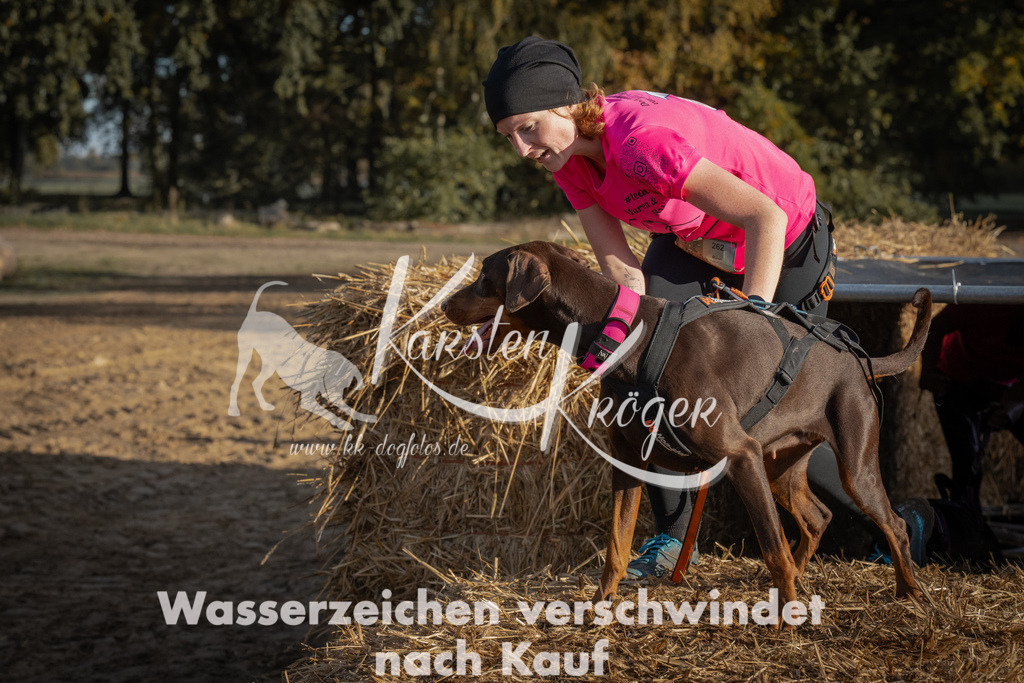 0954_ZZ95358 | kk-dogfotos