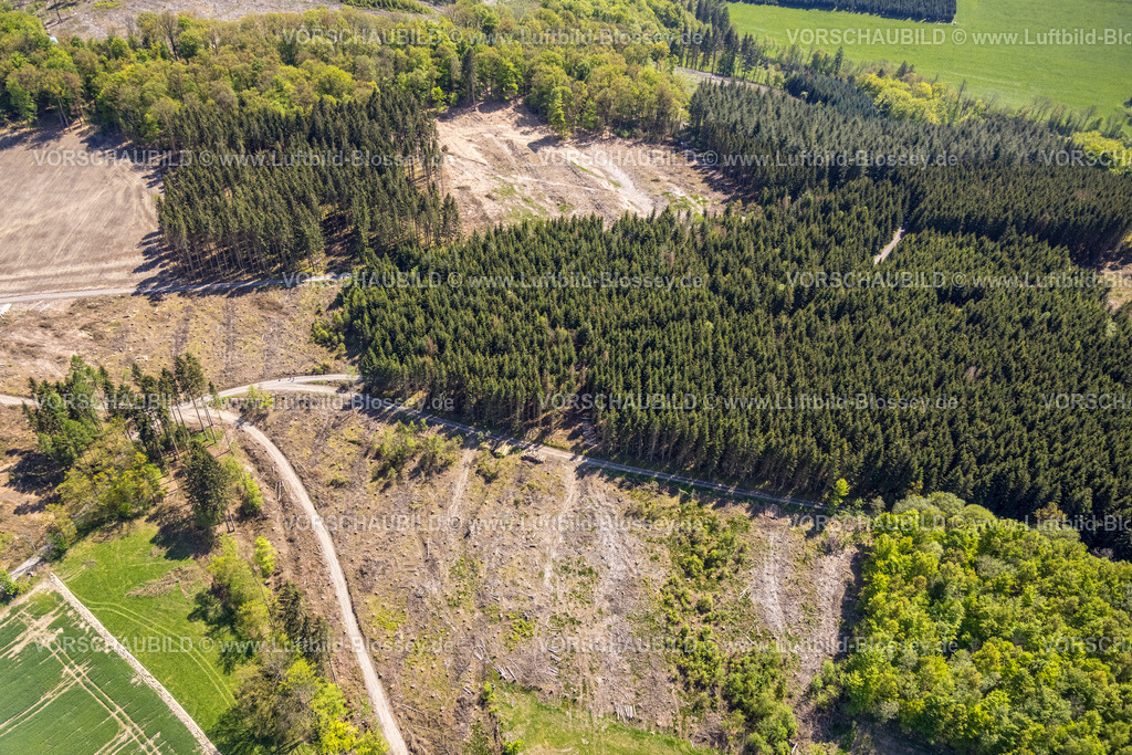 Eslohe230505797 | Luftbild, Waldsterben, Waldgebiet mit Waldschäden, Böttenberg, Eslohe, Sauerland, Nordrhein-Westfalen, Deutschland