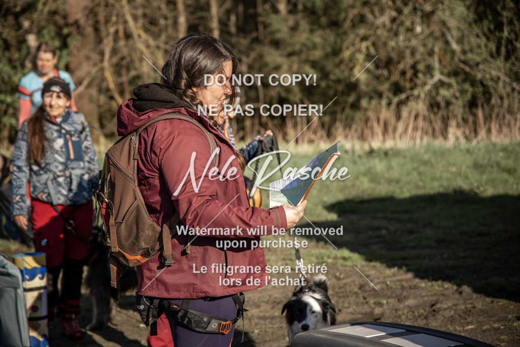 NR__0631-2 | nelerasche