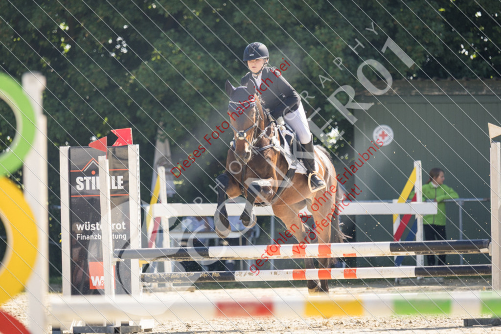 IMG_2812 | Sport-, Event- und Tierfotos in Profiqualität. Einfach auswählen, bestellen und herunterladen. Dein Moment – perfekt festgehalten.