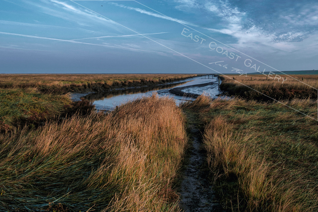 Salzwiesen am Morgen | EastCoastGallery - Realisiert mit Pictrs.com