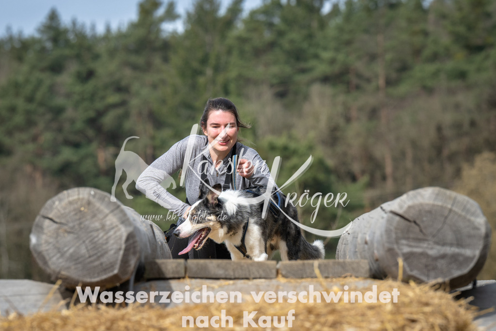 1046_ZZ93702 | kk-dogfotos