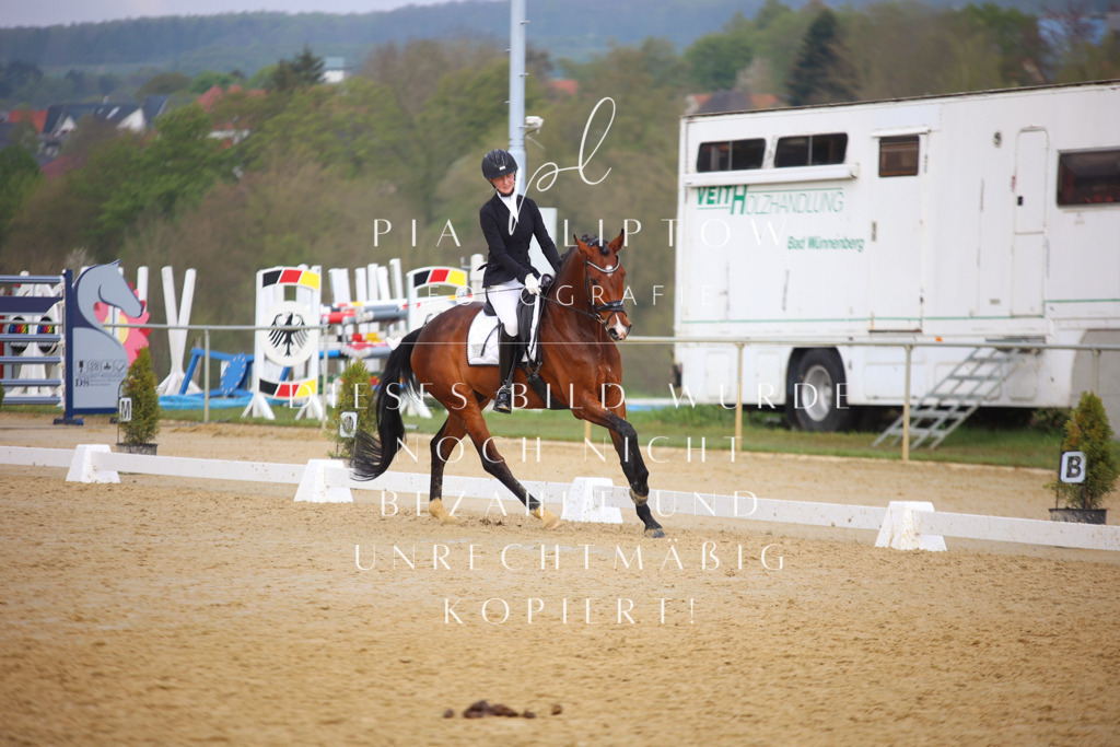 IMGT8004 | pl-fotografie