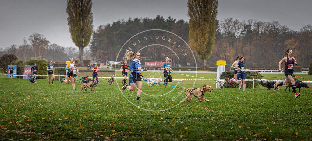 CaniXpix_DV3A8840 | Hundefotografie, Tierfotograf, Pfotenfotografie, Fotoshooting Hund, Hunde Portrait, Hundesport, Hundeportraits, Heideshooting, Hunde, Sportfotograf, Hundefotograf, Turnierhundsport, THS,  - Realisiert mit Pictrs.com