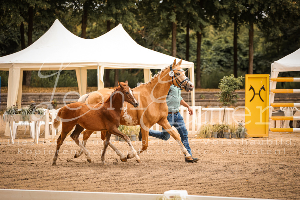 07.So00054 | Leoni Ertmer Photography - Realisiert mit Pictrs.com