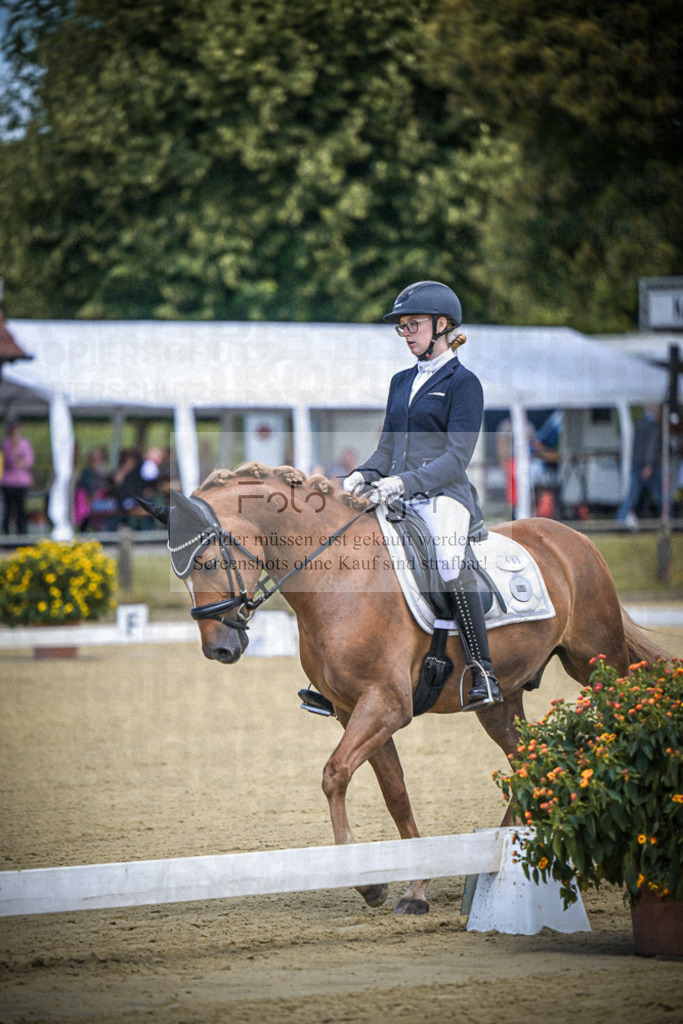 DOS_3805 | Entdecke hochwertige Reitturnierfotos von Foto Oger. Professionell, emotional und authentisch – jetzt Lieblingsmomente im Shop bestellen.Deutschlandweite Turnierfotografie. - Realisiert mit Pictrs.com