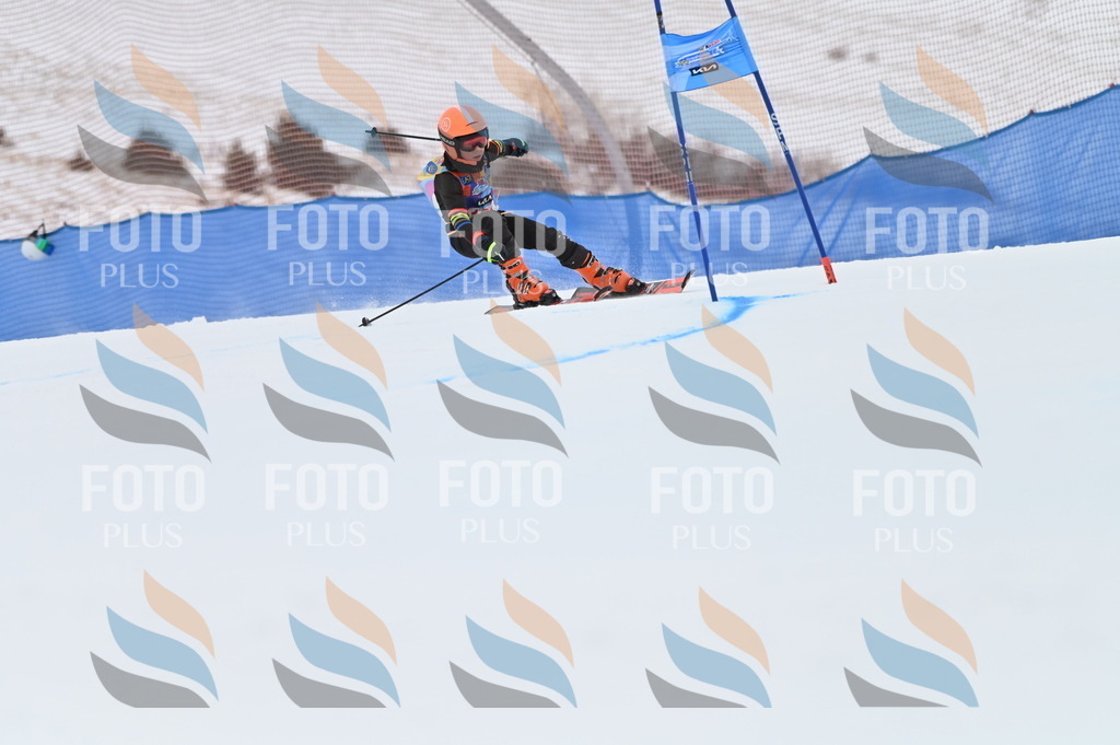 BGV_9874 | holidayphoto