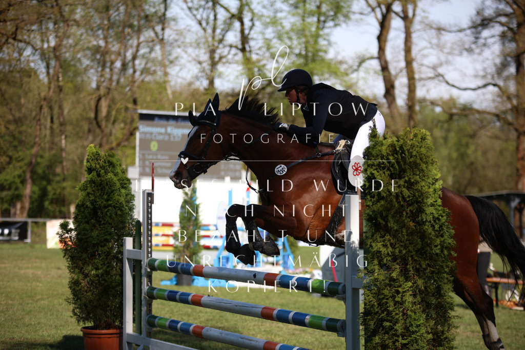 IMGT0400 | pl-fotografie