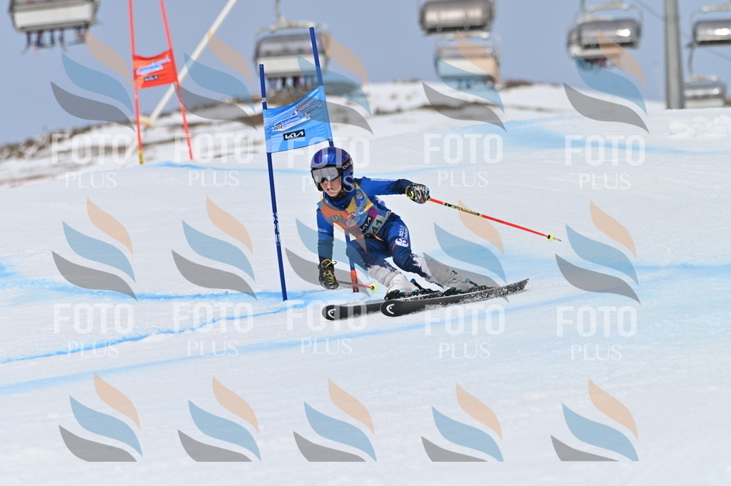 BGV_4772 | holidayphoto