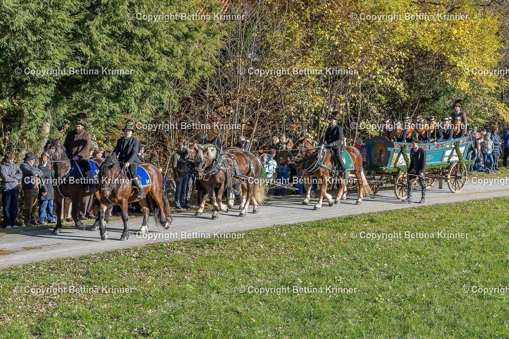 LBT25-531 | foto-bettina-krinner - Realisiert mit Pictrs.com