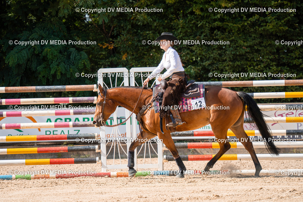 ZH100255 | dv-media-shop - Realisiert mit Pictrs.com