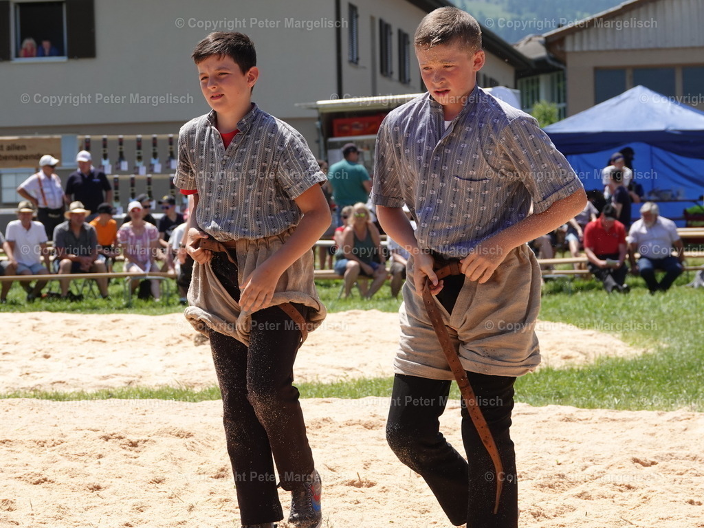 DSC04738 | Schwingen - Realisiert mit Pictrs.com