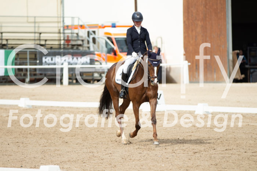 IMG_1618 | Creatify Fotografie