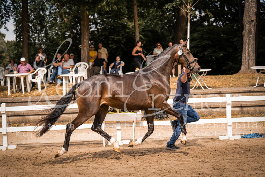 6.Fr00083 | Leoni Ertmer Photography - Realisiert mit Pictrs.com