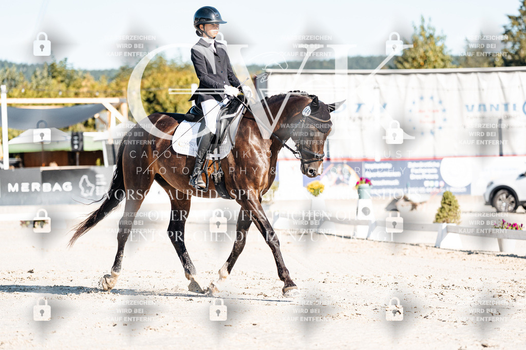 CK907218 | Turnierfotografie Pferdefotografie Trier Rheinland-Pfalz Pferdesport Reitsport Tierfotografie Sportfotografie Pferdevideo Pferdevideografie Equestrianvideography equestrianphotography  - Realisiert mit Pictrs.com