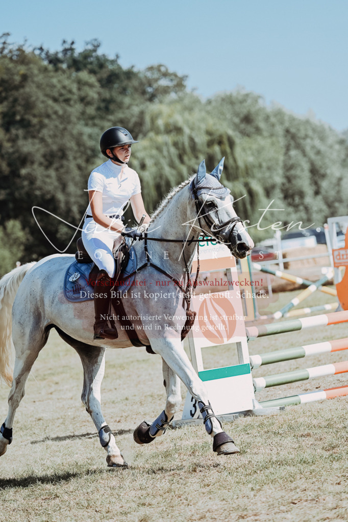 DSC_9585 | Pferde- und Turnierfotografie in Westsachsen. Pferdeportraits, Auftragszeichnungen und intuitive Kunst.