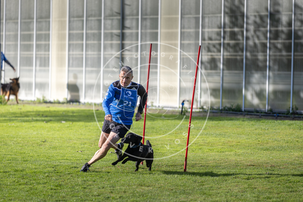 Pfotenfotografie.de_DV3A3234 | Hundefotografie, Tierfotograf, Pfotenfotografie, Fotoshooting Hund, Hunde Portrait, Hundesport, Hundeportraits, Heideshooting, Hunde, Sportfotograf, Hundefotograf, Turnierhundsport, THS, canicross - Realisiert mit Pictrs.com