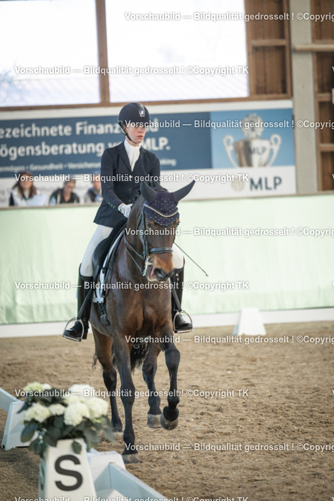 _D5A3262 | Emotionale Pferde- & People-Fotografie rund um Heidelberg, Leimen & Umgebung. Natürliche Fotos von Pferd, Mensch & Familie. Jetzt Termin sichern!