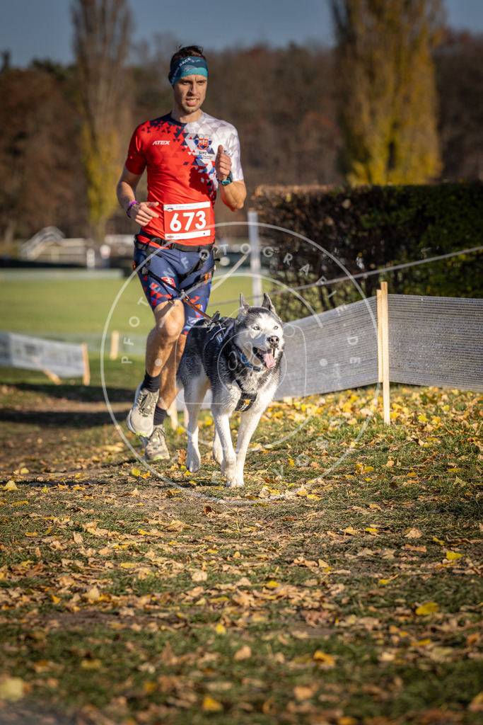 CaniXpix_DV3A0923 | Hundefotografie, Tierfotograf, Pfotenfotografie, Fotoshooting Hund, Hunde Portrait, Hundesport, Hundeportraits, Heideshooting, Hunde, Sportfotograf, Hundefotograf, Turnierhundsport, THS,  - Realisiert mit Pictrs.com