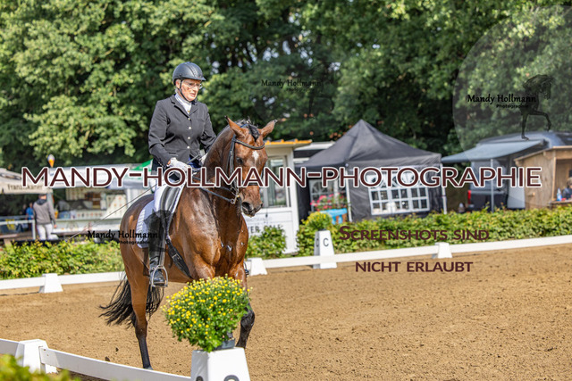 16.8.25 D1 DRE M-162 | mandyhollmannphotographie